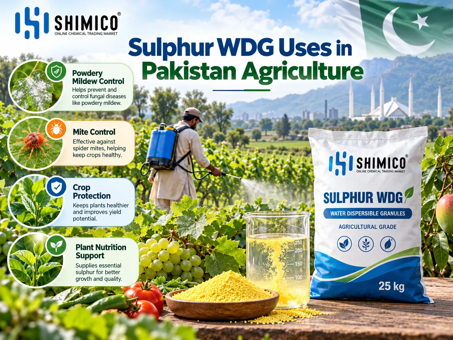 Sulphur WDG Uses in Pakistan Agriculture