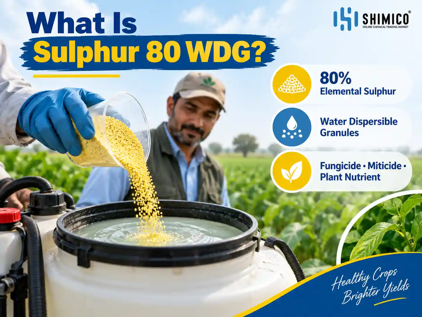 What Is Sulphur 80 WDG and What Does WDG Mean