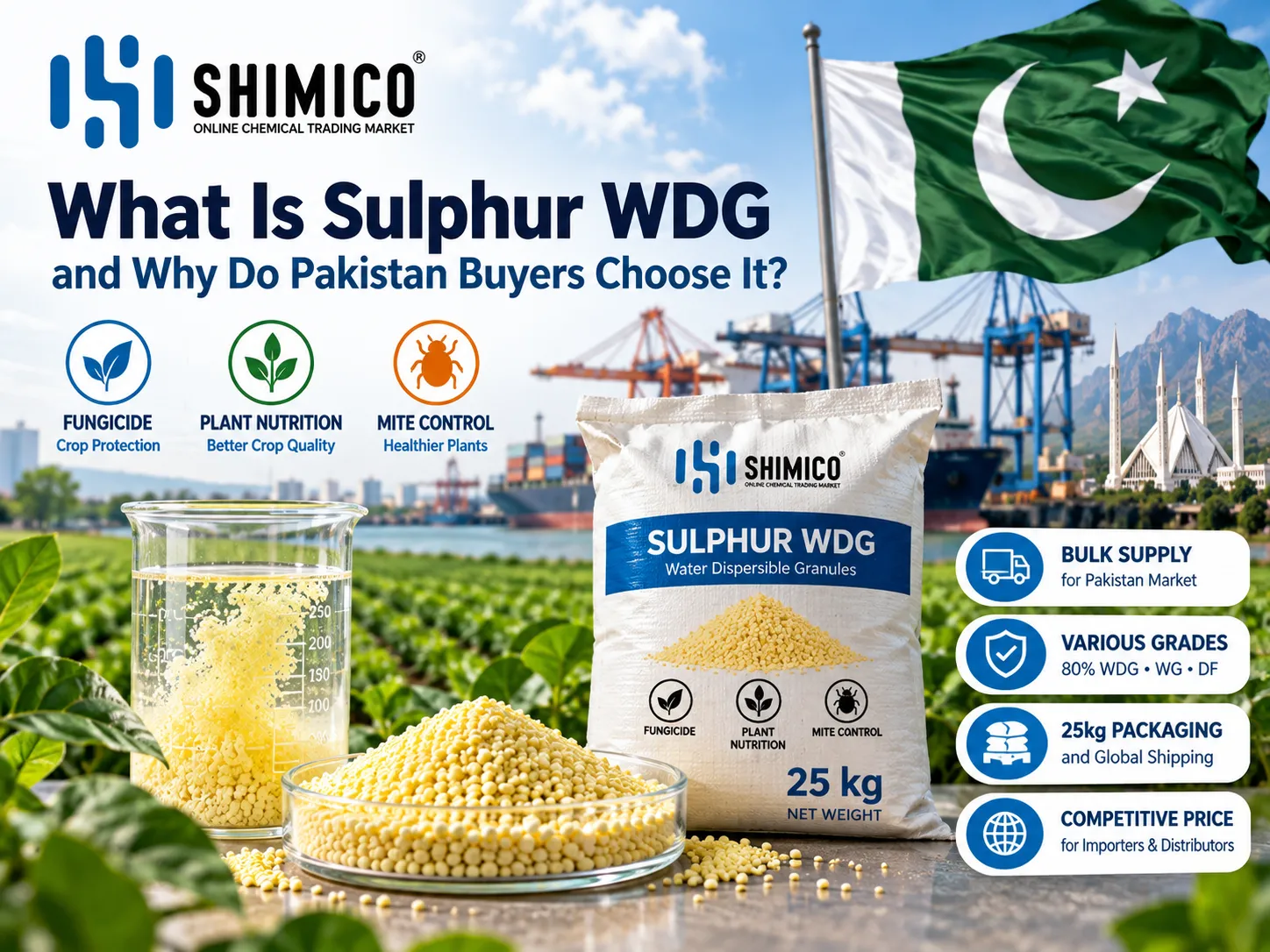 What Is Sulphur WDG and Why Do Pakistan Buyers Choose It?