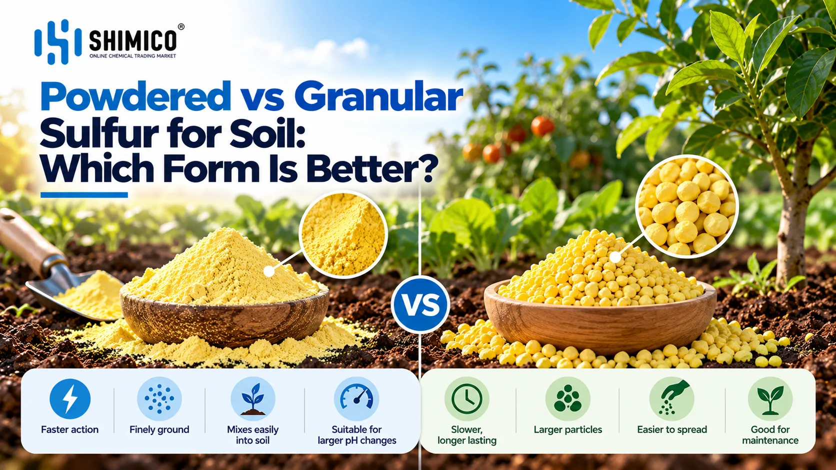 Powdered vs Granular Sulfur for Soil Which Form Is Better