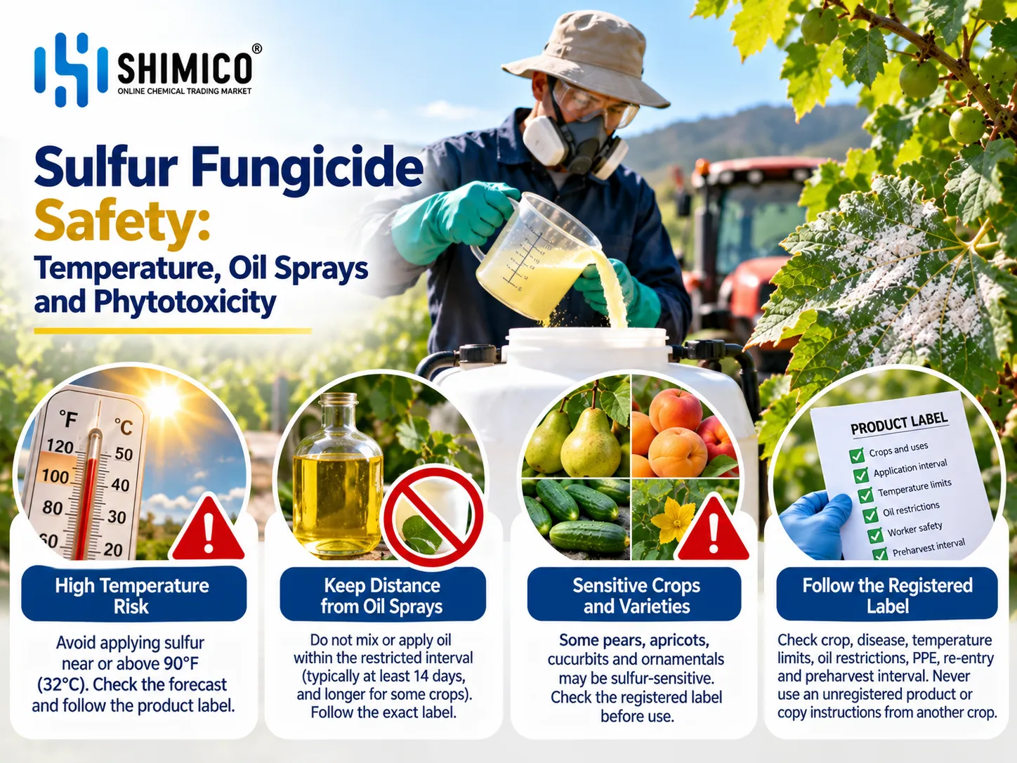 Sulfur Fungicide Safety: Temperature, Oil Sprays and Phytotoxicity