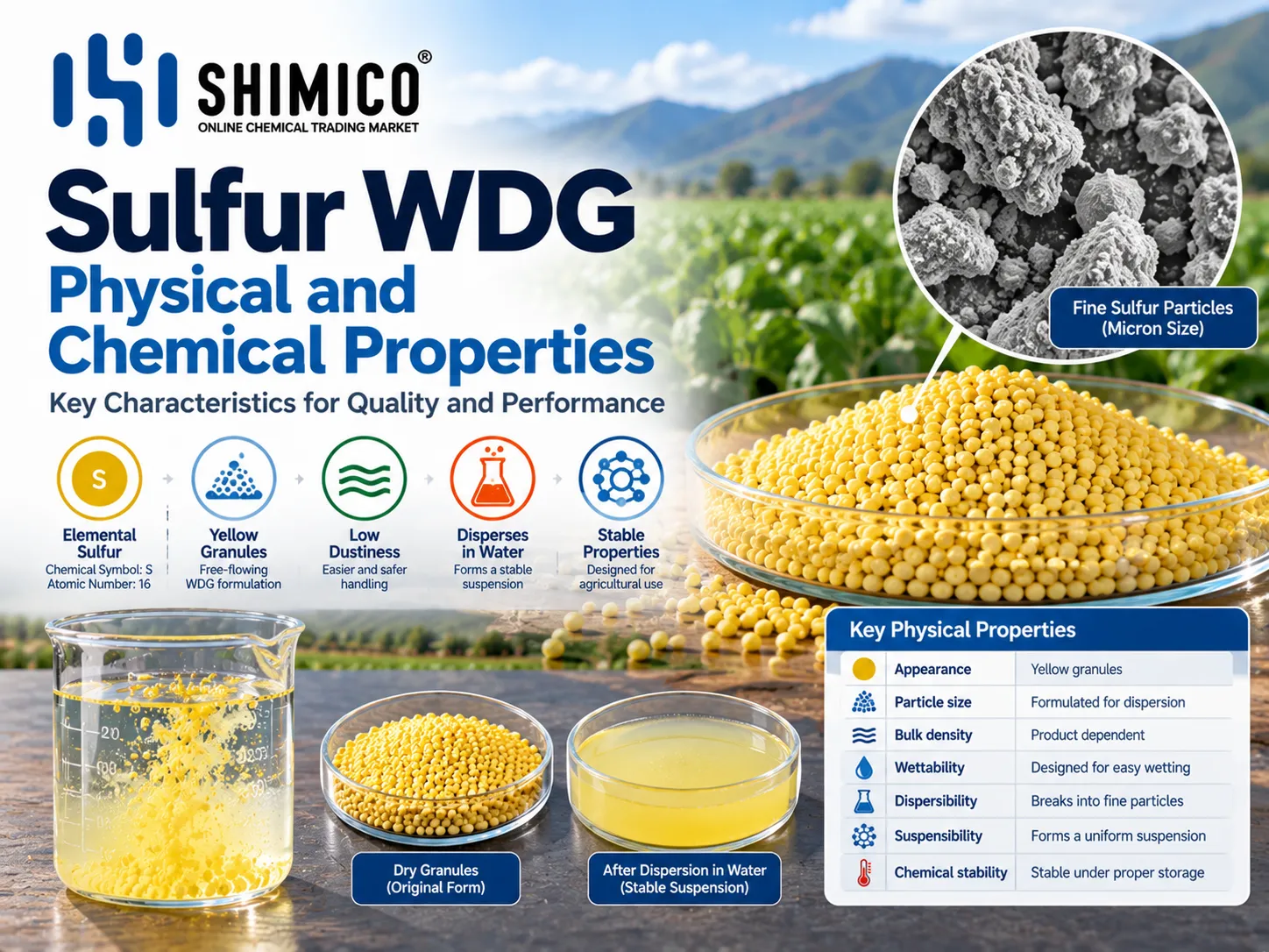 Sulfur WDG Physical and Chemical Properties