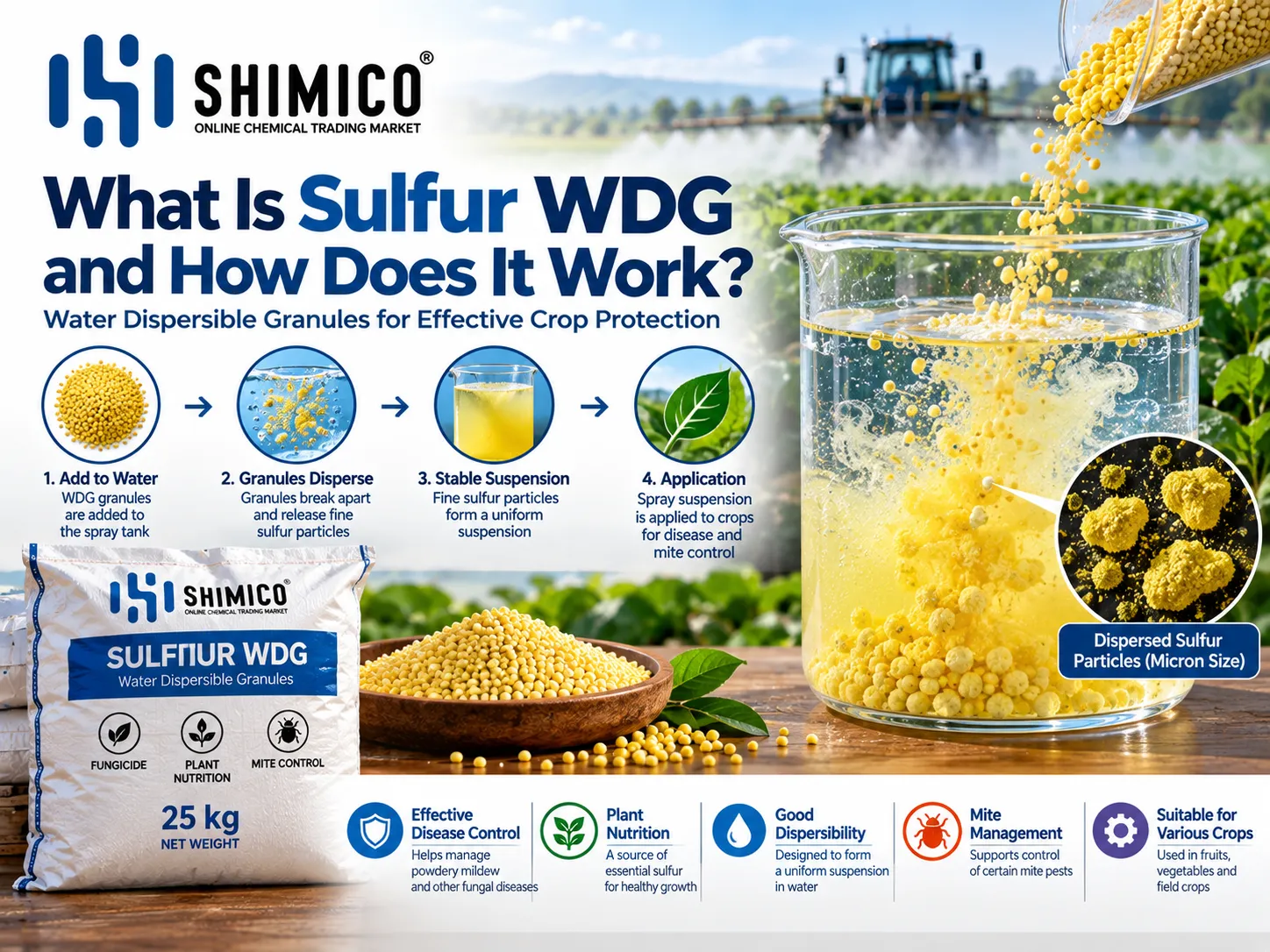 Sulfur WDG: Water Dispersible Granules, Uses & Bulk Supply
