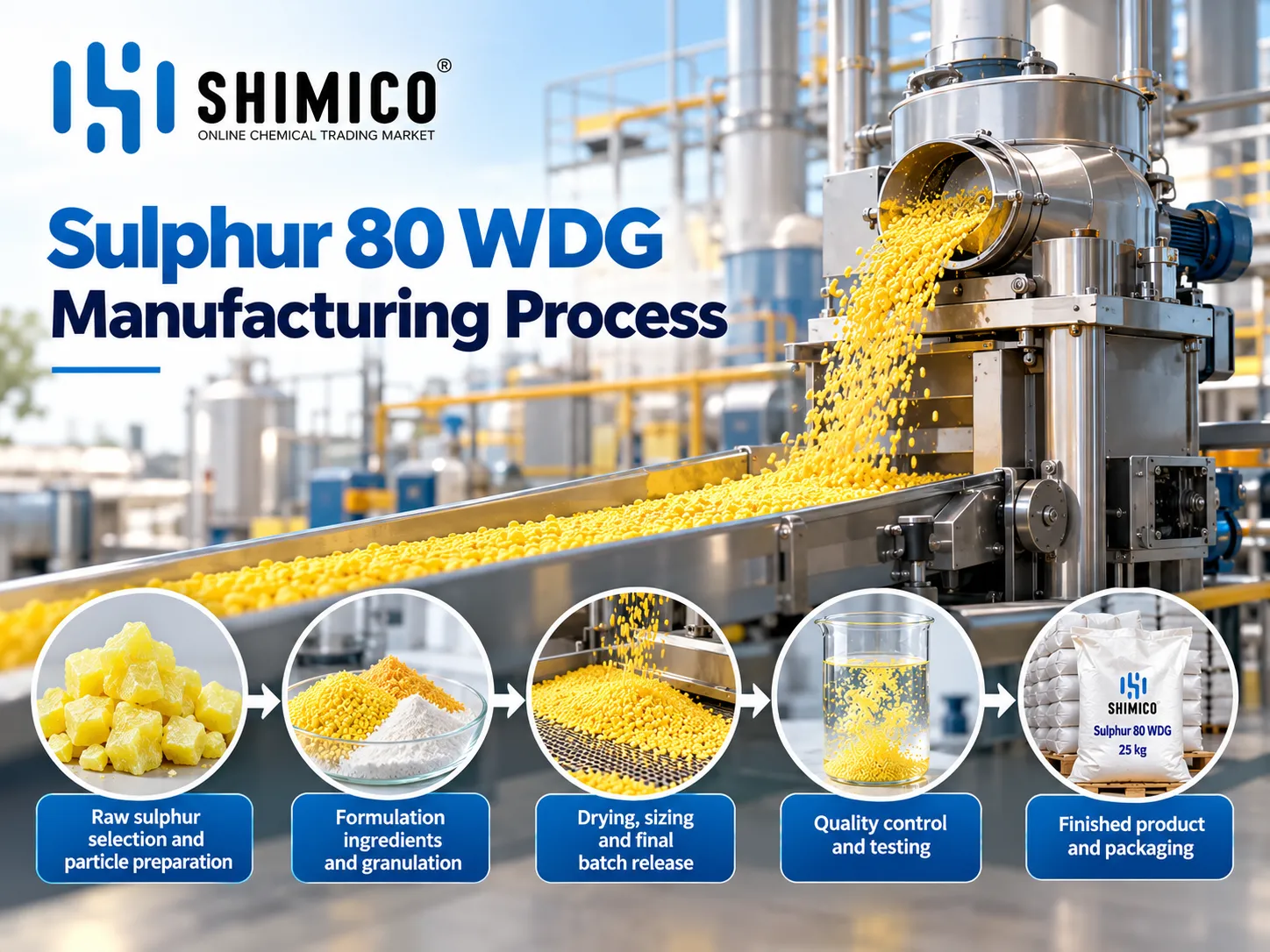 Sulphur 80 WDG Manufacturers and Wholesale Suppliers