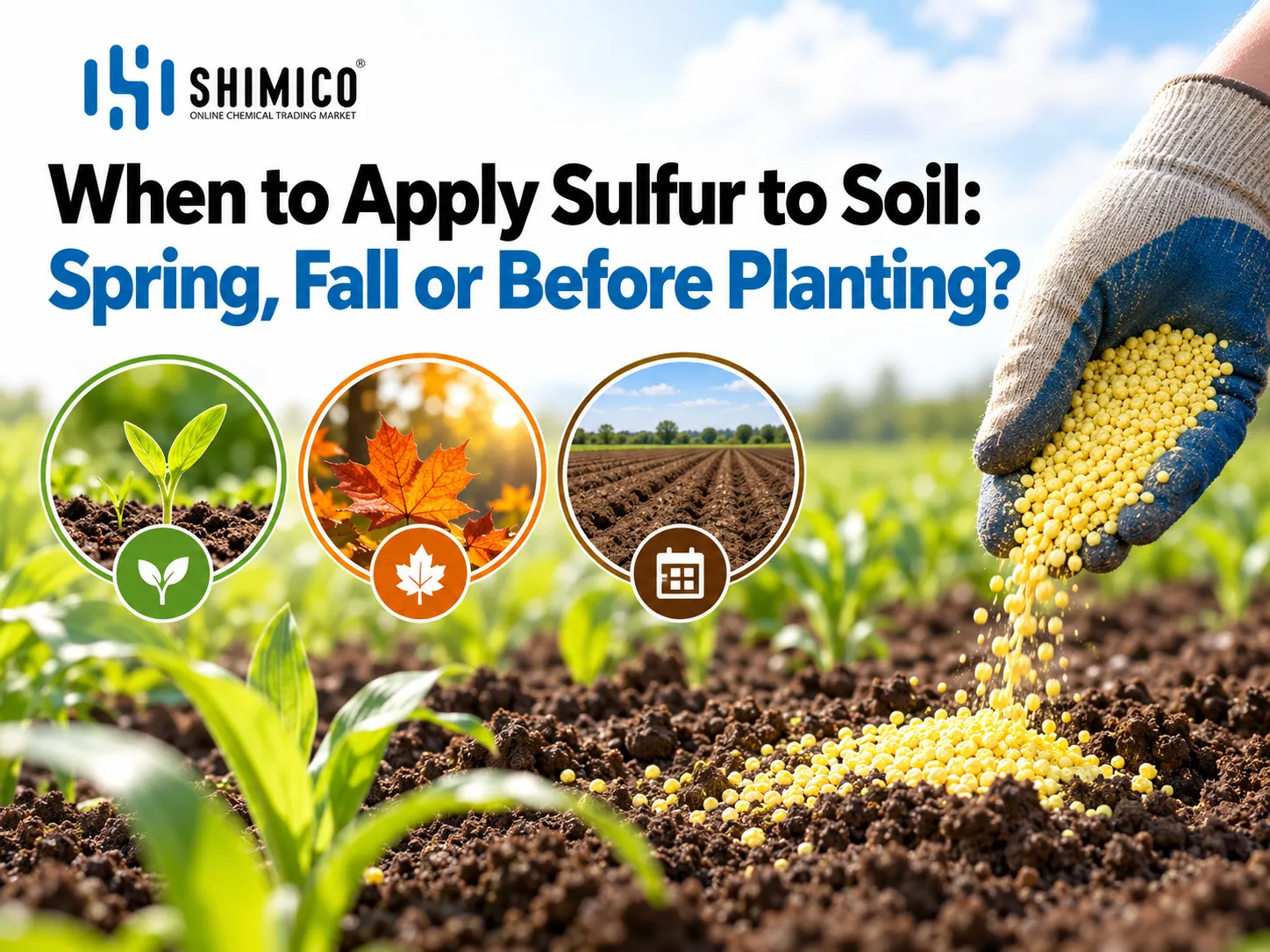 When to Apply Sulfur to Soil: Spring, Fall or Before Planting?