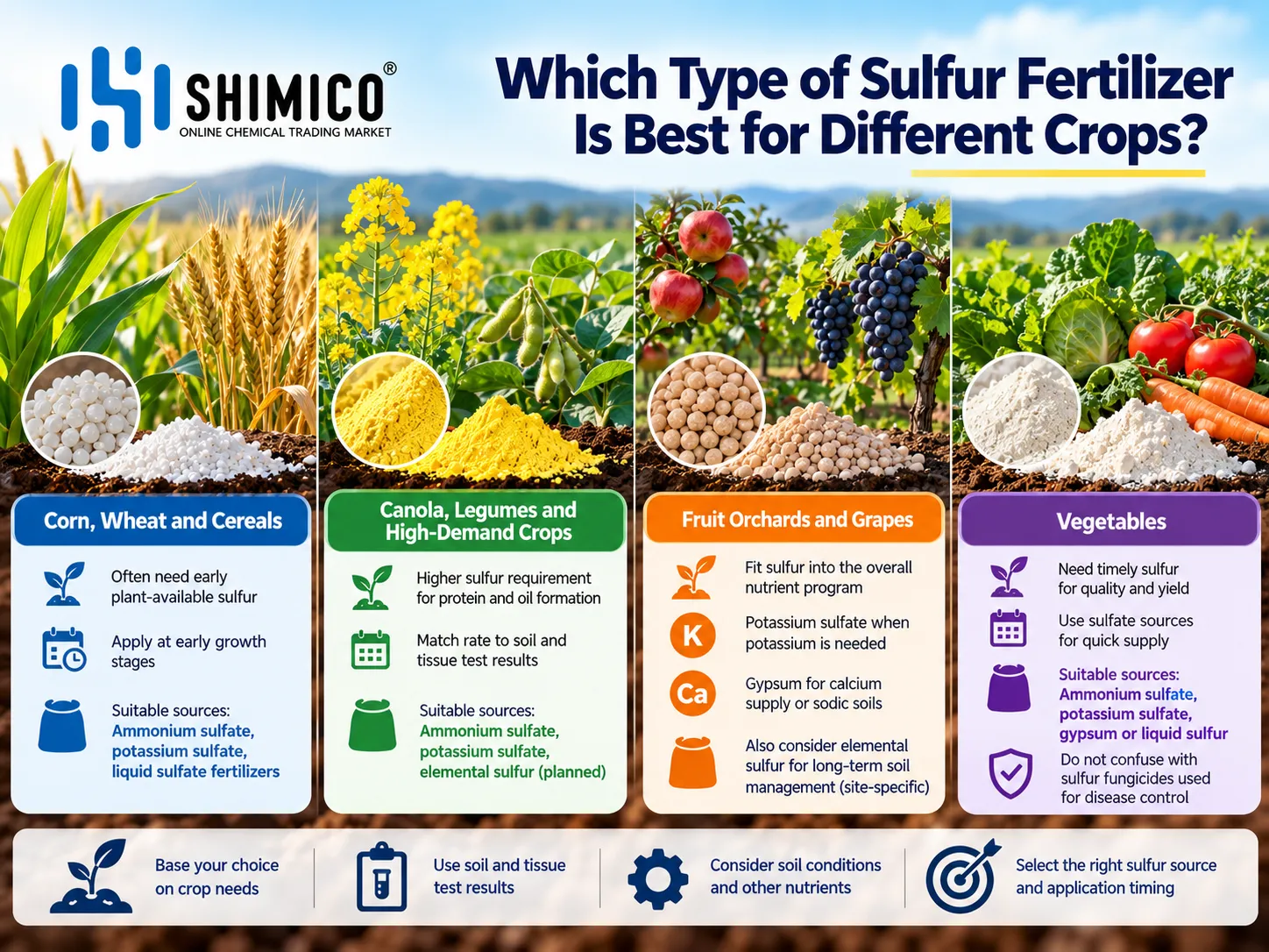 Which Type of Sulfur Fertilizer Is Best for Different Crops?