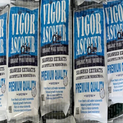 عصاره جلبک دریایی