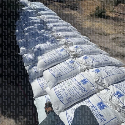 کربنات سدیم