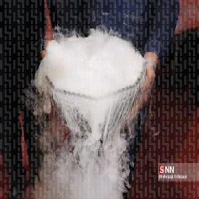 دی اکسید کربن 