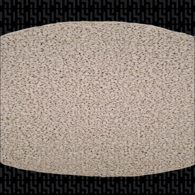 Dicalcium Phosphate 