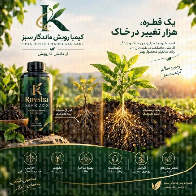 اسید هومیک