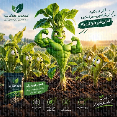 اسید هومیک